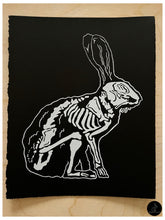 Load image into Gallery viewer, White Hare