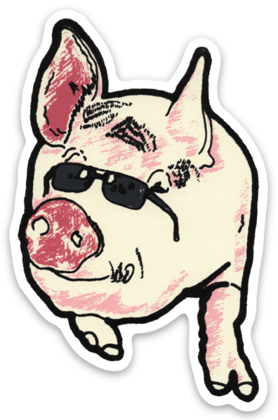 Cool Pig Sticker