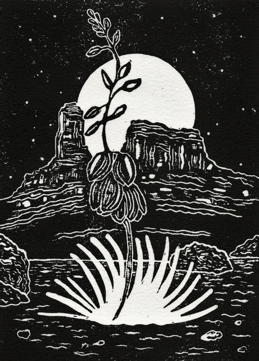 Yucca in the Moonlight Print