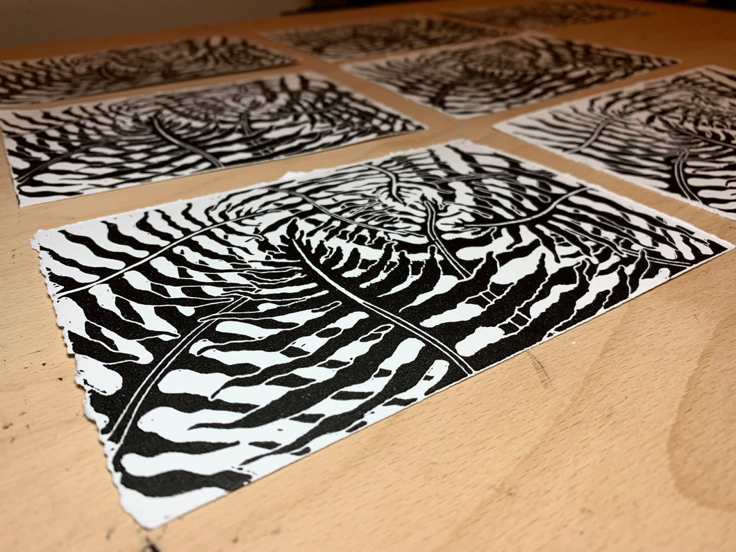 Life of an Angry Fern